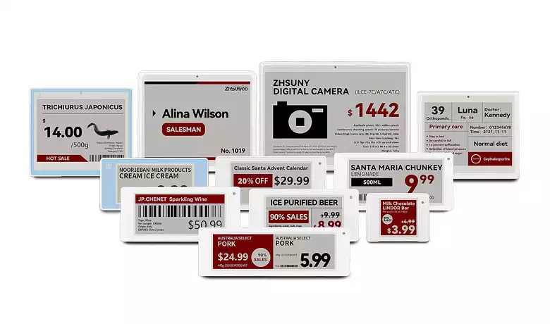 Top 10 Digital Shelf Pricing System Suppliers in 2026| LCD Digital Shelf Labels Guide 4 LcdSLD Displaydata Limited LcdSLD