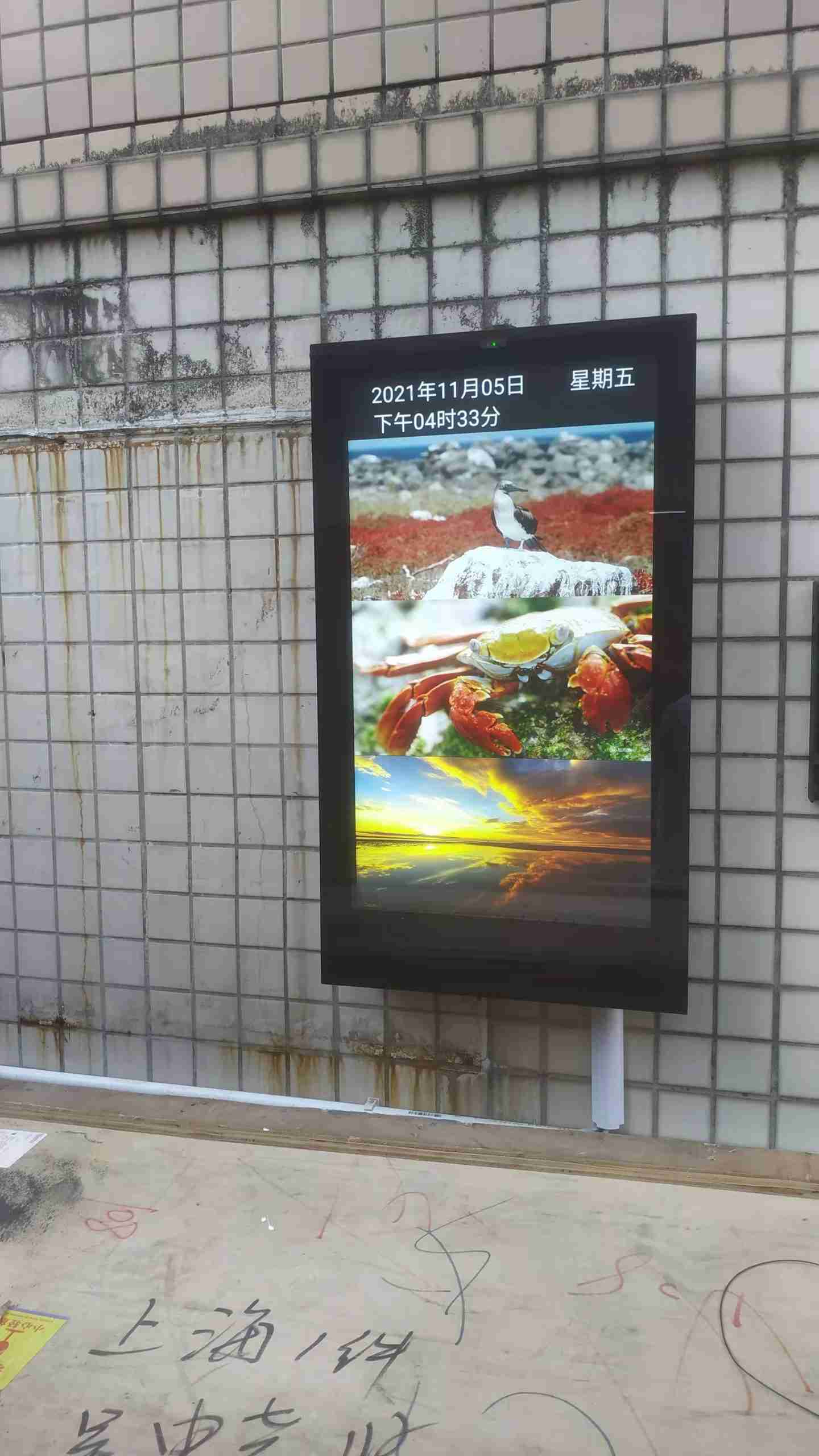 55 Inch Outdoor Wall-mounted Android Monitor